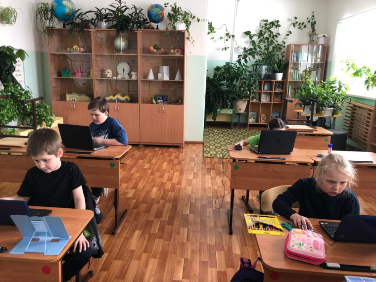 «Урок цифры» прошел в Диксонской средней школе.